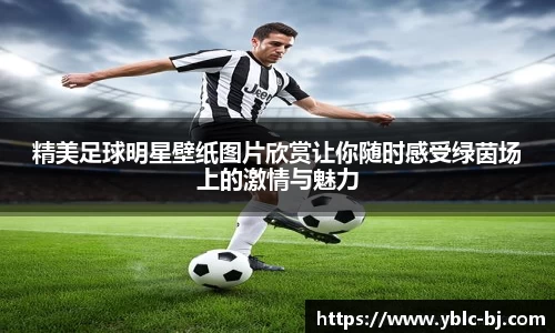 精美足球明星壁纸图片欣赏让你随时感受绿茵场上的激情与魅力